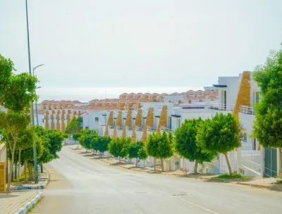 الصورة 2